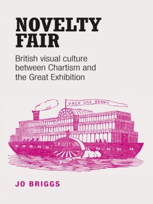 cover image of Novelty fair